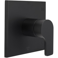 Non-Thermostatic Valve Trim Non-Thermostatic Valve Trim