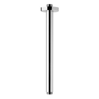 Shower Arm Shower Arm